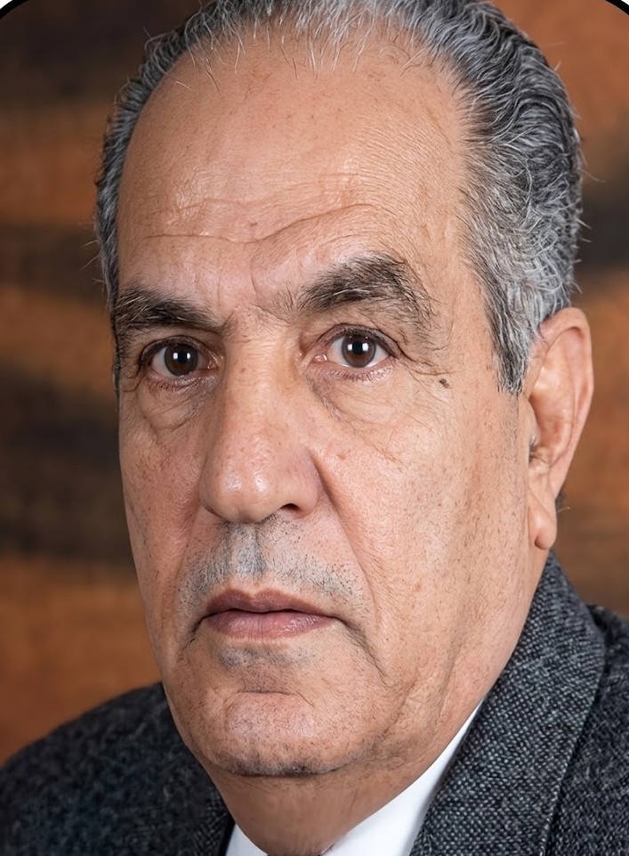 المهندس / عصام راضى عبدالحميد