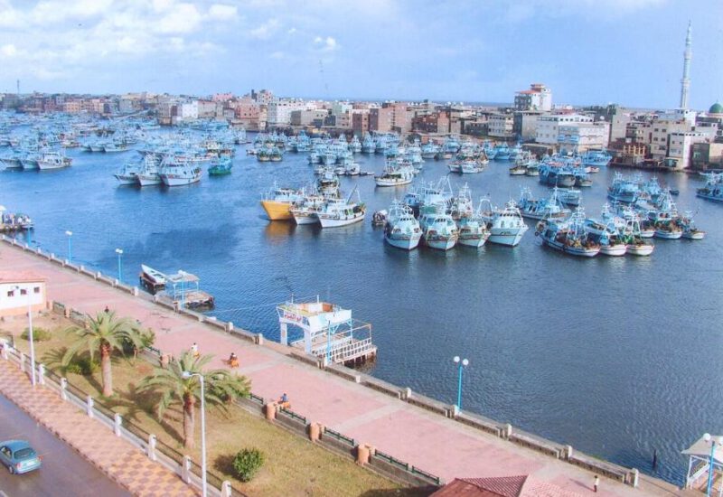 الطريق لرأس البر 9