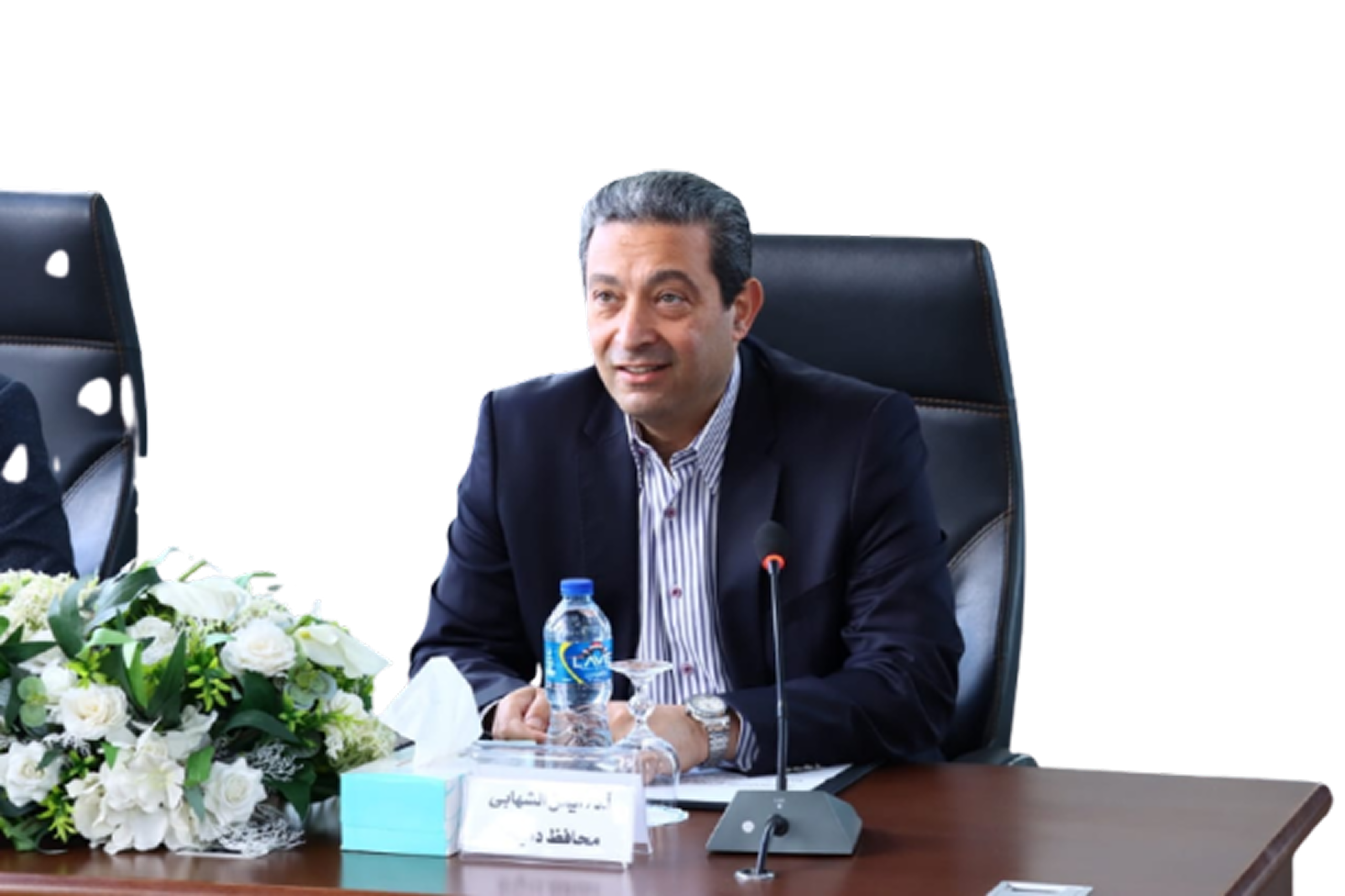 أ.د أيمن رشاد الشهابى