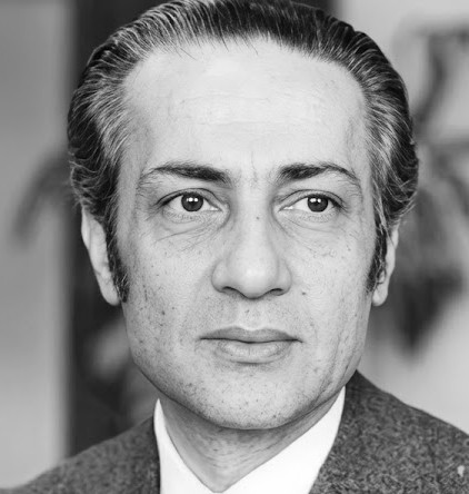 على حمدي الجمال